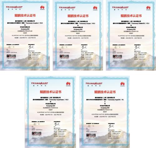 星環(huán)科技基于鯤鵬原生開發(fā) 賦能企業(yè)高效數(shù)據(jù)處理與軟件開發(fā)