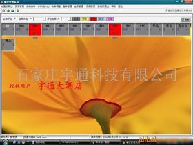 網(wǎng)絡(luò)技術(shù)開發(fā) 連接未來的數(shù)字脈絡(luò)